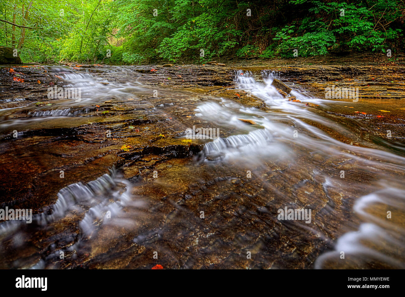 Una piccola cascata su Brandywine Creek in Cuyahoga Valley National Park in Ohio. Visto qui in estate con bassa portata d'acqua. Foto Stock
