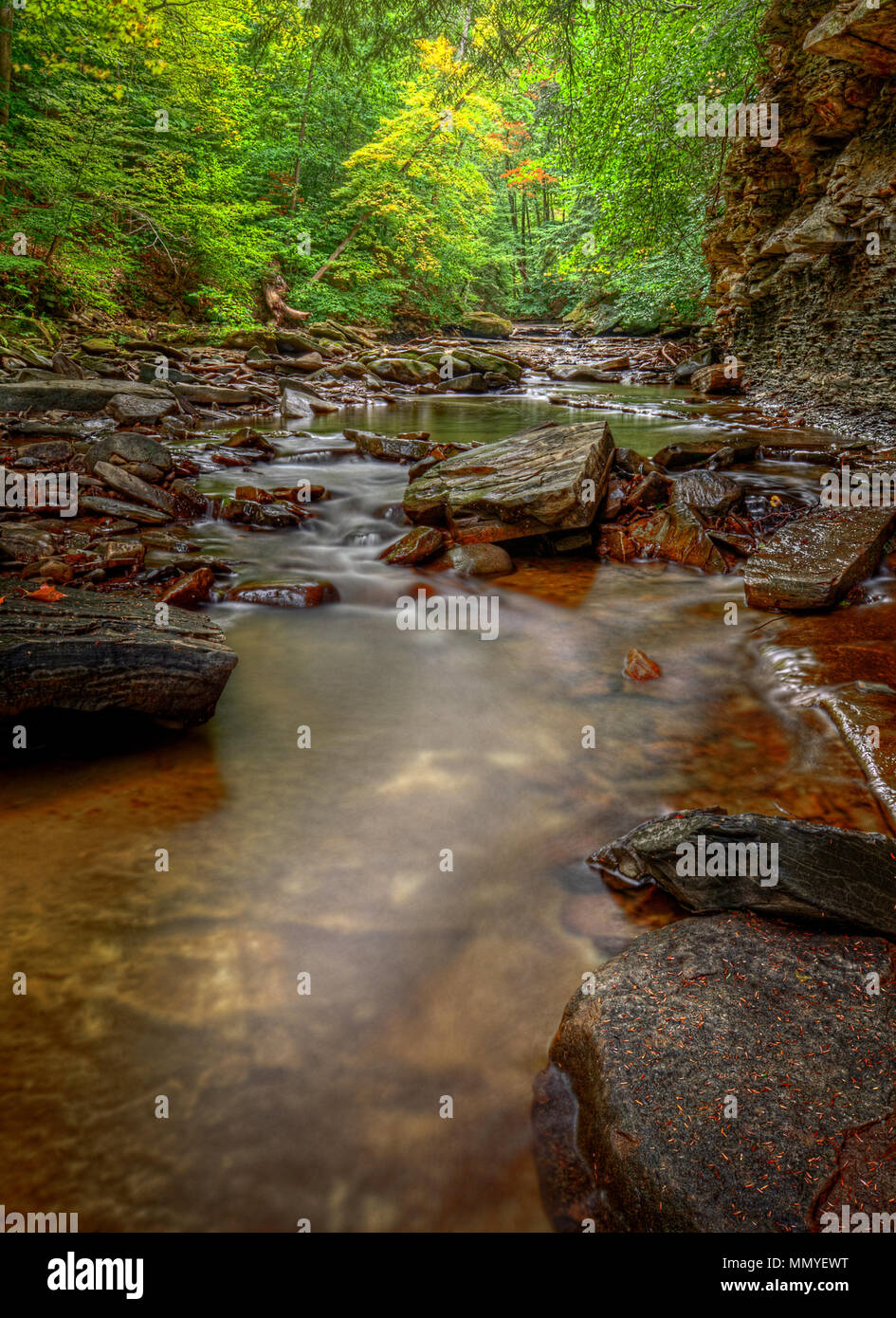 Una piccola cascata su Brandywine Creek in Cuyahoga Valley National Park in Ohio. Visto qui in estate con bassa portata d'acqua. Foto Stock