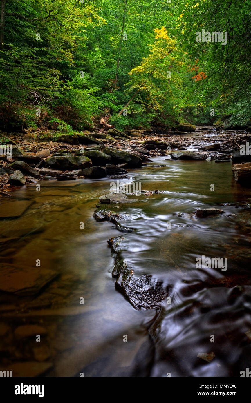 Una piccola cascata su Brandywine Creek in Cuyahoga Valley National Park in Ohio. Visto qui in estate con bassa portata d'acqua. Foto Stock