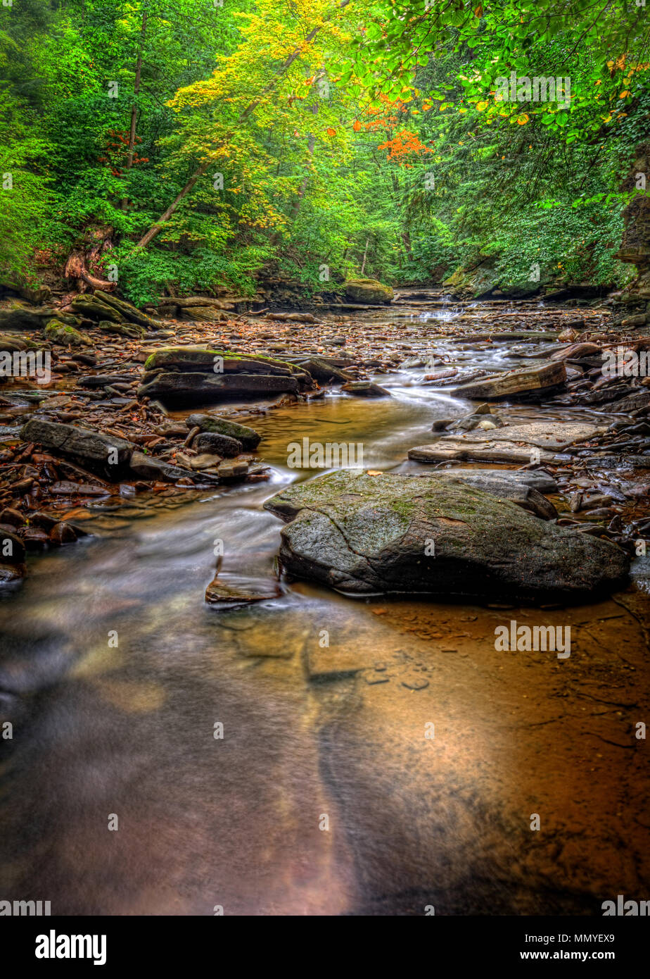 Una piccola cascata su Brandywine Creek in Cuyahoga Valley National Park in Ohio. Visto qui in estate con bassa portata d'acqua. Foto Stock
