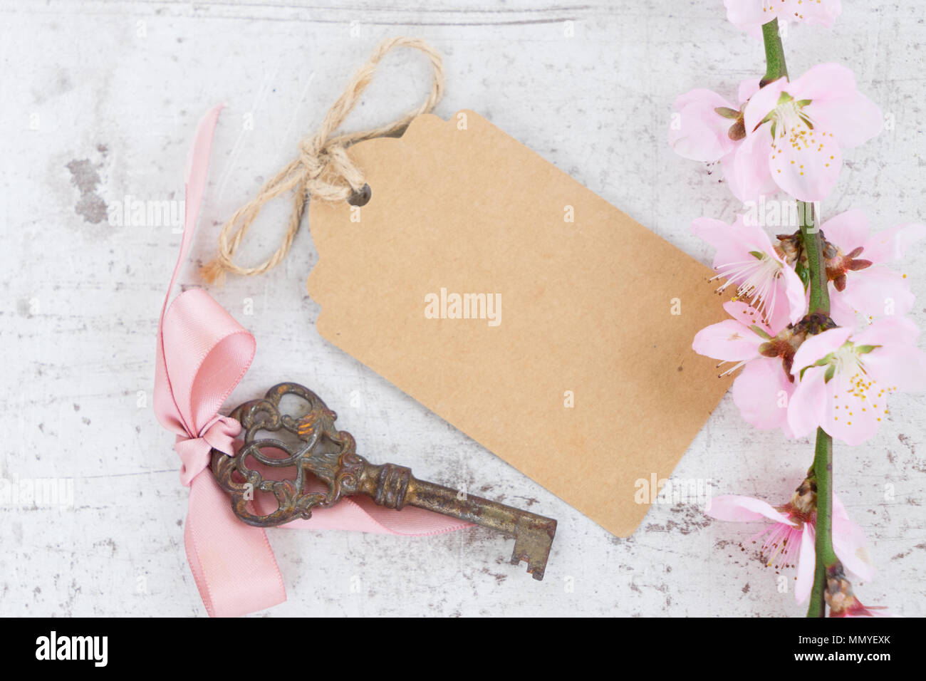 Molla albero di fiori Foto Stock