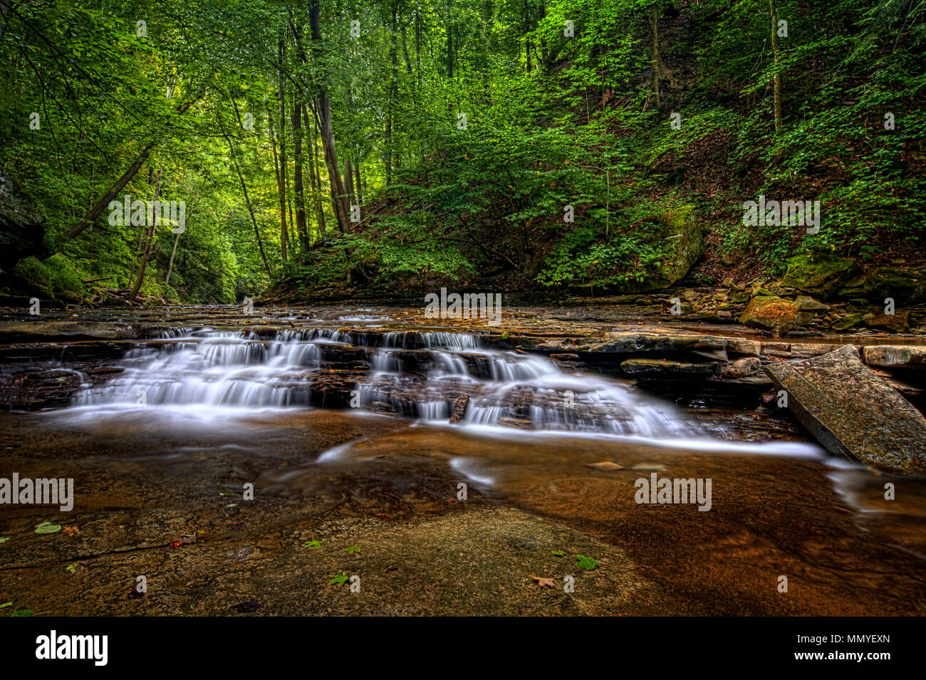 Una piccola cascata su Brandywine Creek in Cuyahoga Valley National Park in Ohio. Visto qui in estate con bassa portata d'acqua. Foto Stock