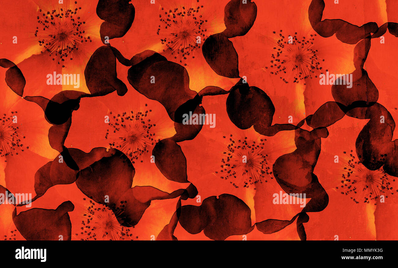 Sfondo digitale arte floreale di fiori / modello realizzato con photo collage tecnica. Il rosso è utilizzato prevalentemente. Foto Stock