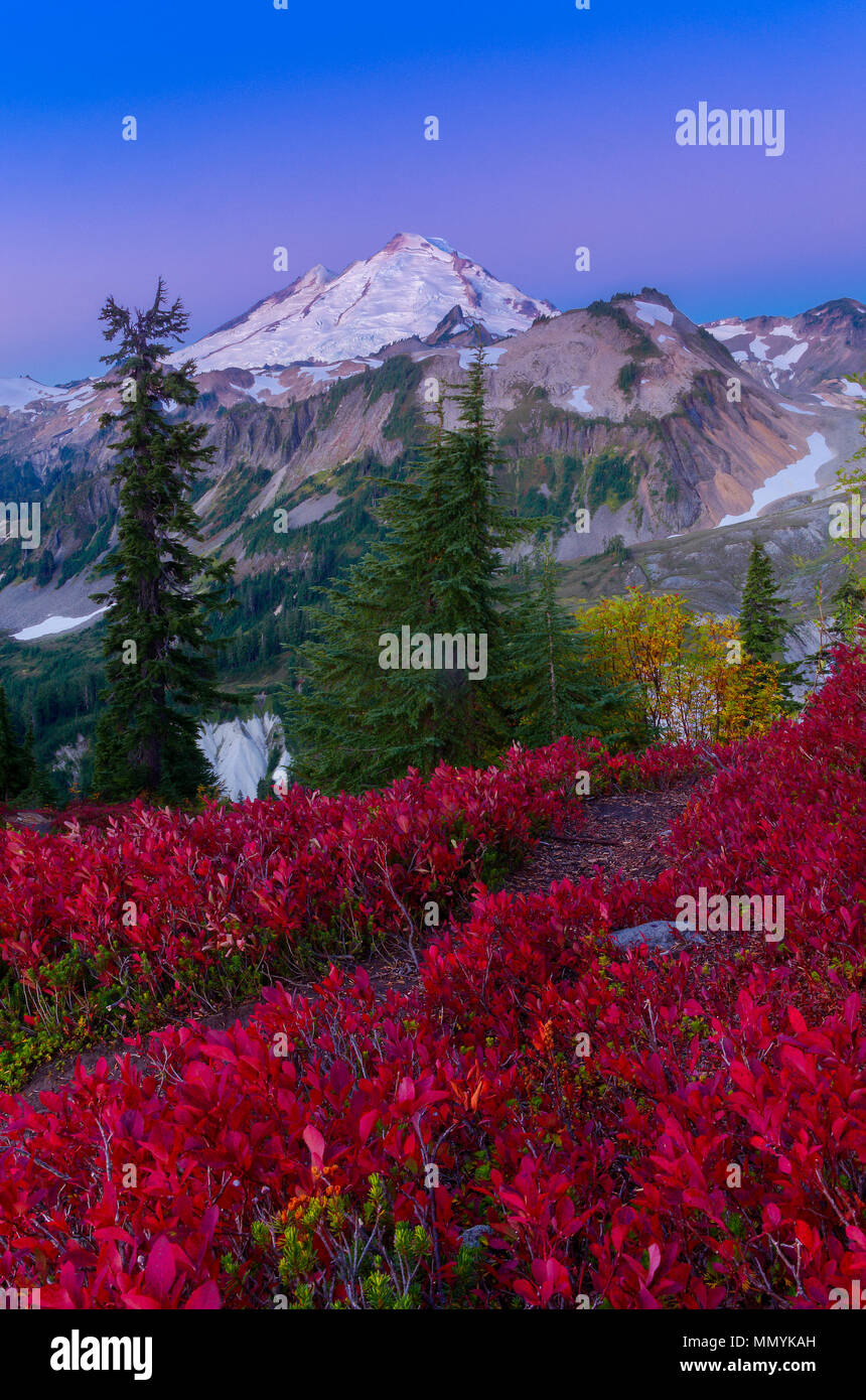 Autunno a colori. Mt. Baker-Snoqualmie Foresta Nazionale, Washington, Stati Uniti d'America Foto Stock