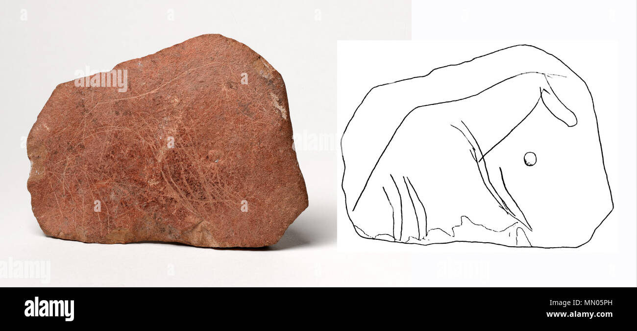 Motivo di cavalli incisi su una placca di calcare. Paleolitico superiore, 30.000 anni fa. Motivo di cavalli incisi su una placca di calcare - Google Art Project Foto Stock