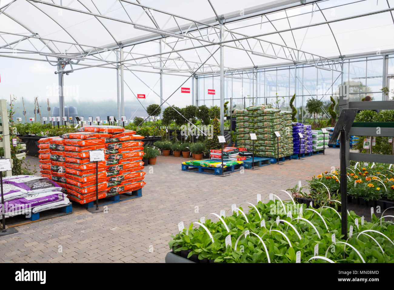 Panoramica di un giardino centro serra con una varietà di piante per la vendita Foto Stock