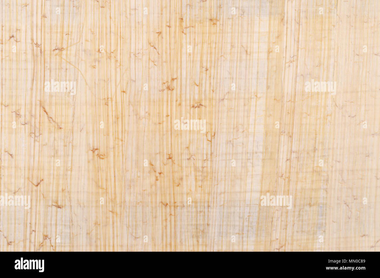 Superficie di papiro. Materiale simile alla carta spessa, usato in tempi antichi come una superficie di scrittura. Fatta di midollo della pianta di papiro, cyperus papyrus. Foto Stock