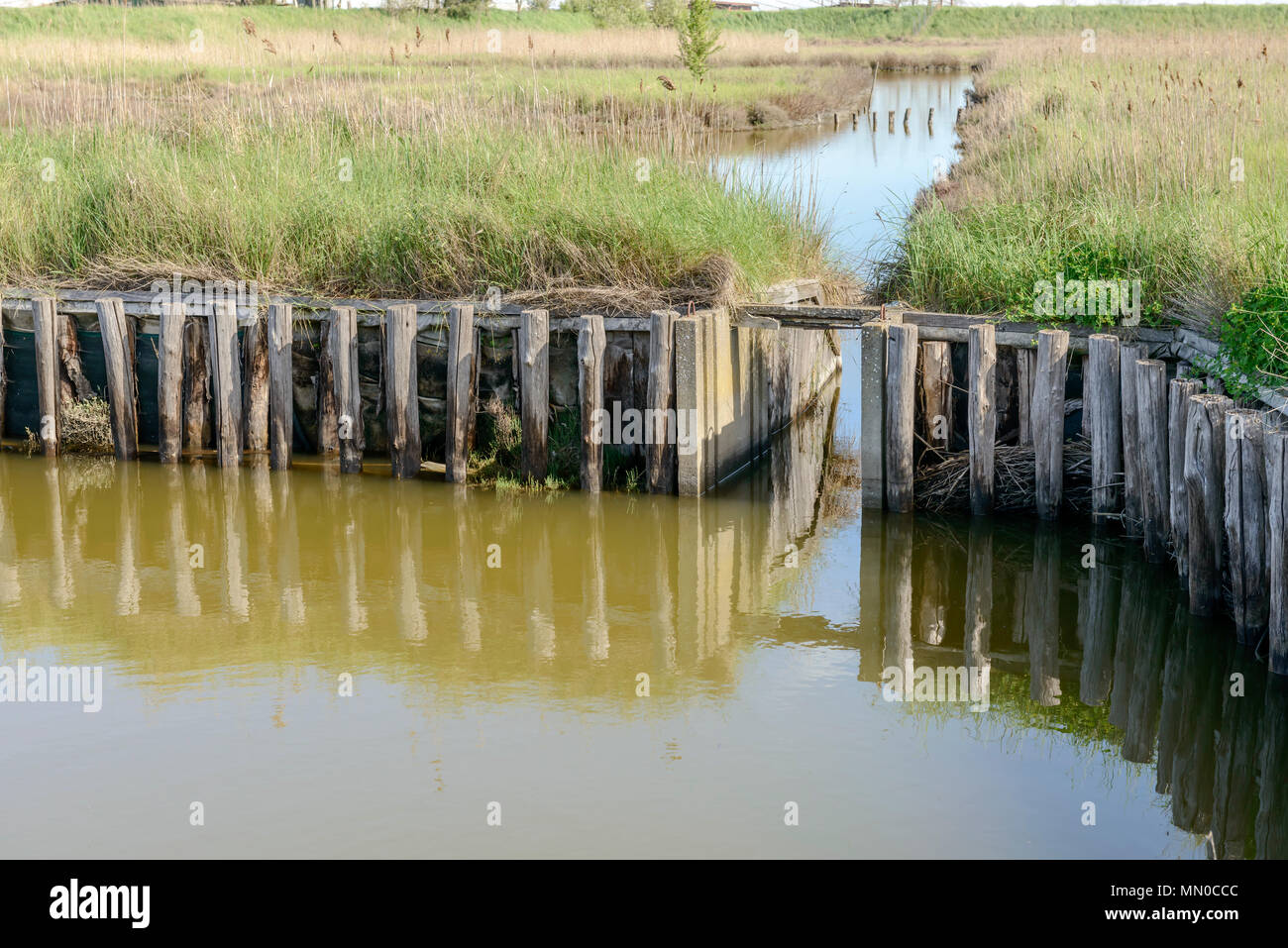 Dettaglio dei montanti in legno dam e acqua salmastra della laguna, girato in primavera luminoso della luce del sole a Comacchio, Ferrara, Italia Foto Stock