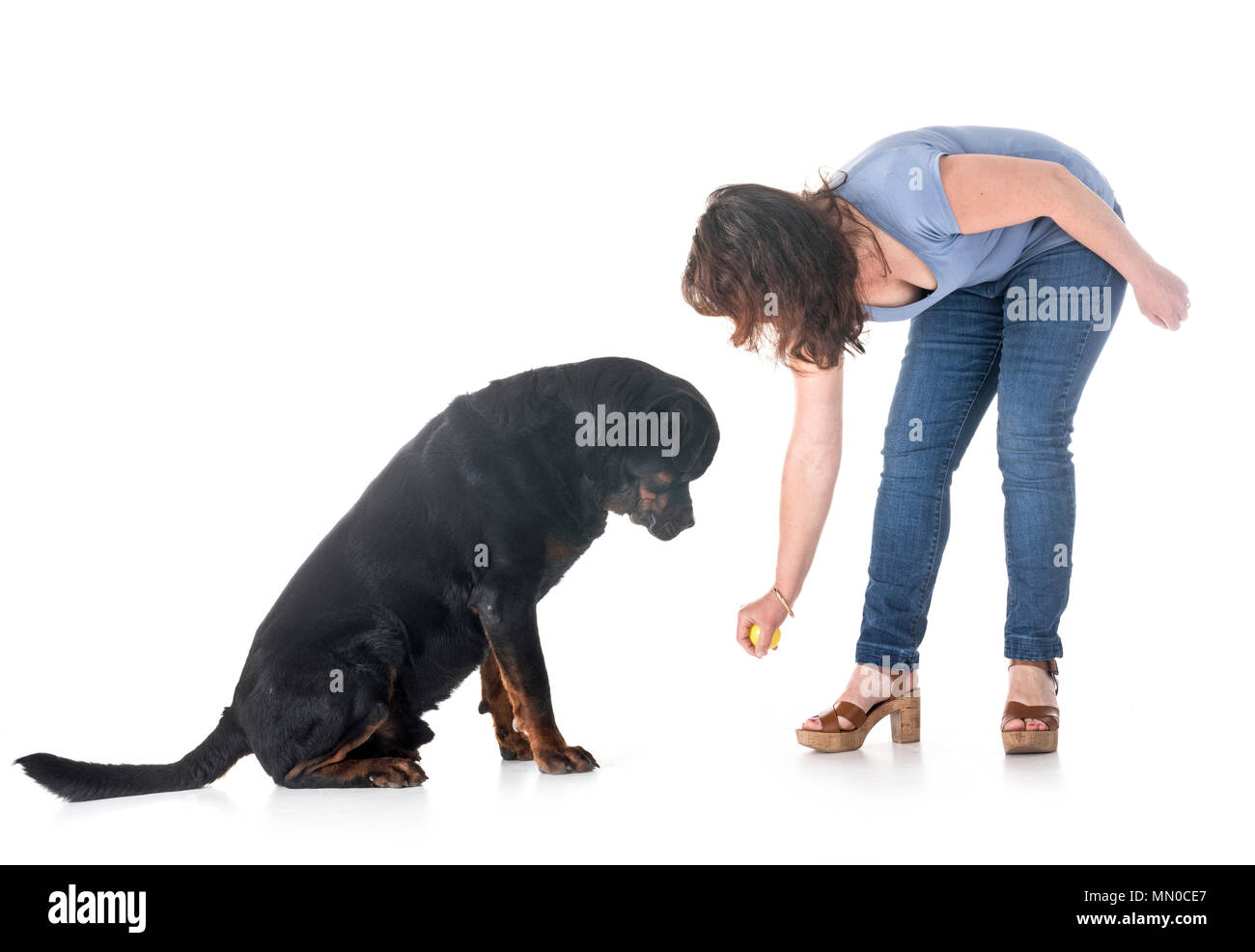 Cane e proprietario di fronte a uno sfondo bianco Foto Stock