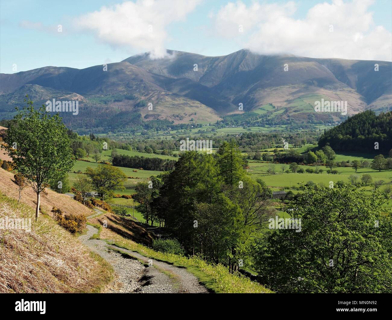 Guardando verso il Cloud toccato Skiddaw dalla vecchia miniera road, scale, Parco Nazionale del Distretto dei Laghi, Cumbria, Regno Unito Foto Stock