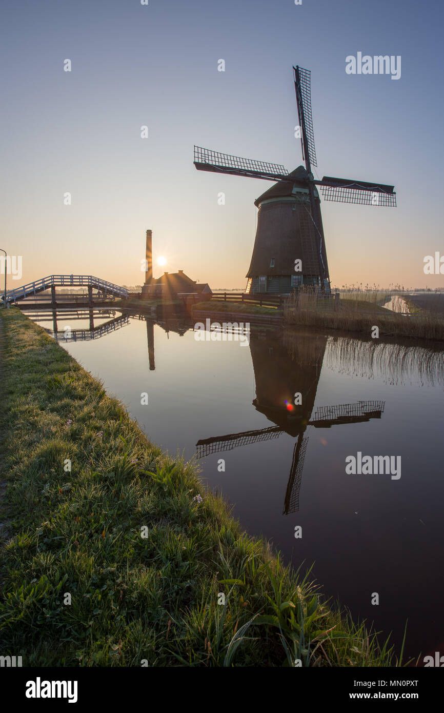 Il mulino a vento si riflette nel canale incorniciato da erba e cielo rosa all'alba, North Holland, Paesi Bassi Foto Stock