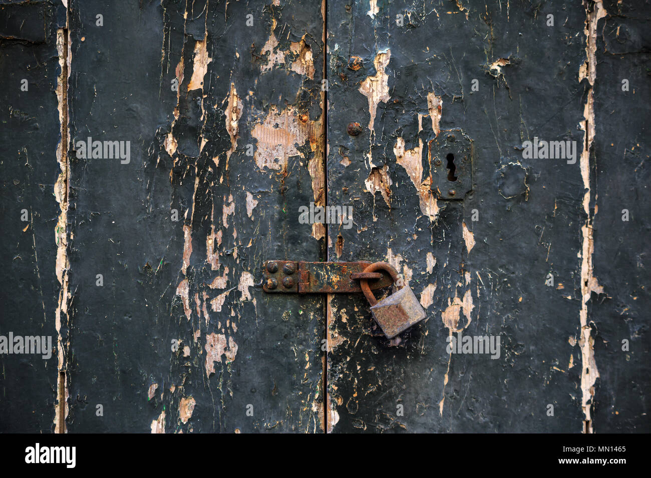 In legno grigio scuro dello sfondo della porta bloccata con lucchetto arrugginito. Trito ingresso fornisce la sicurezza e la privacy. Vista ravvicinata con i dettagli. Foto Stock