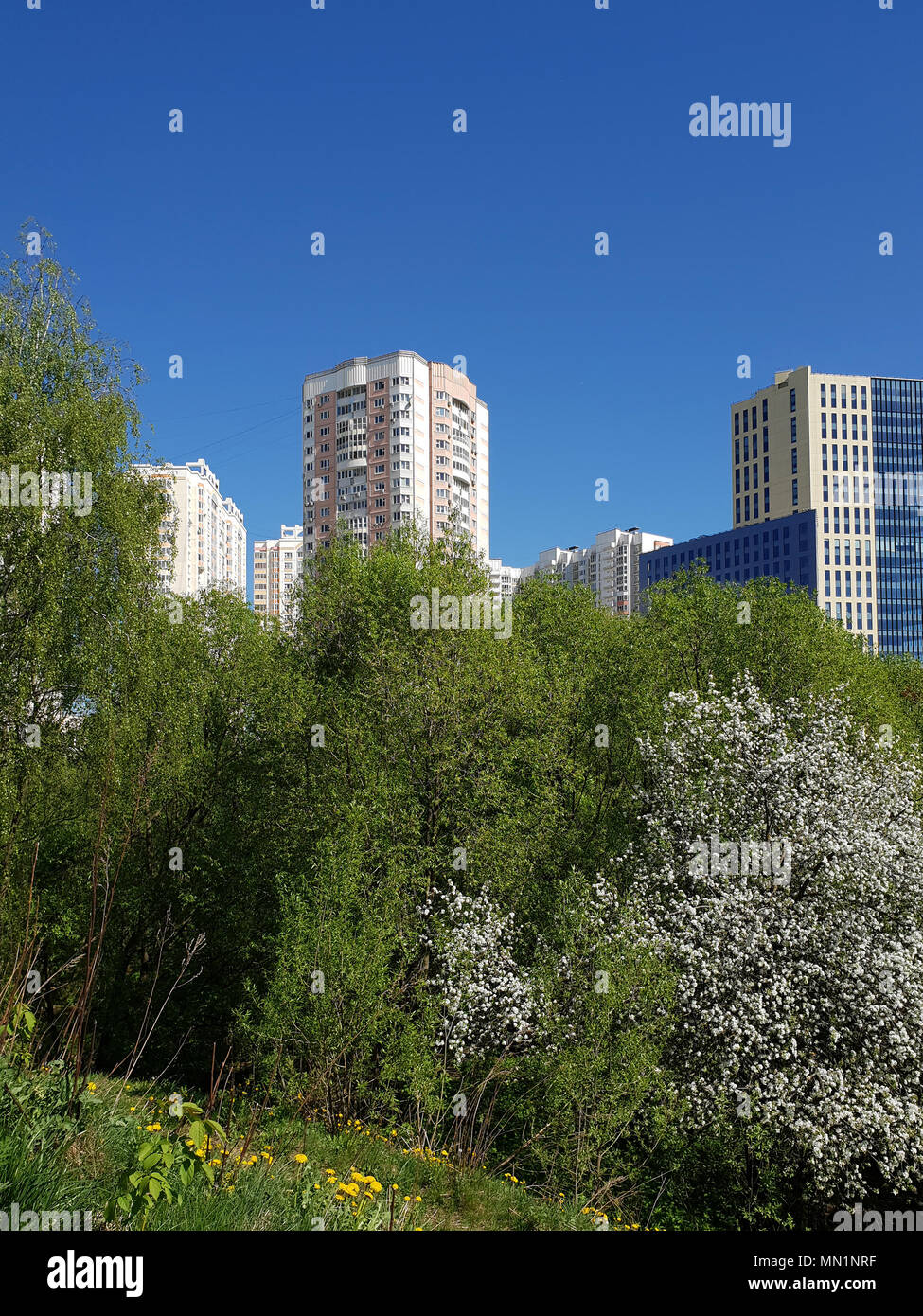 Panorama della città in un ambiente ecologicamente pulito in città di Khimki, Russia Foto Stock