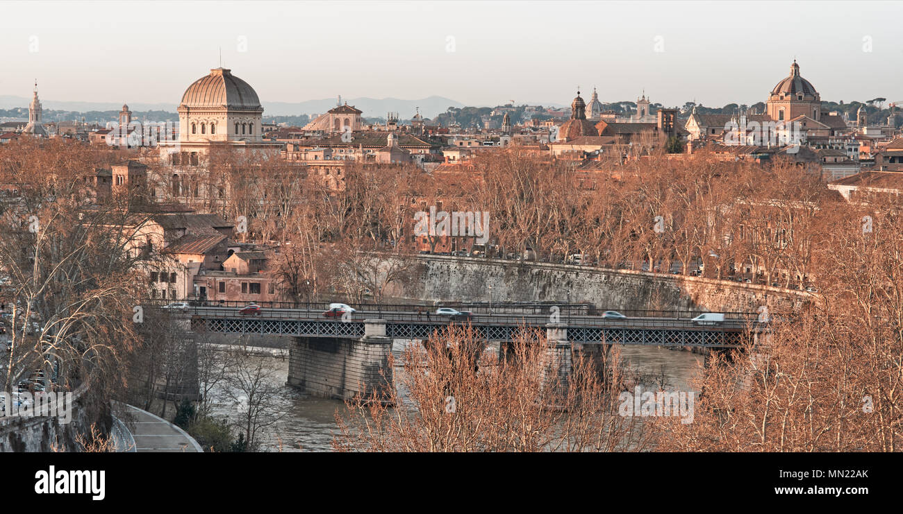 Vista dei tetti di Roma: sinagoga ebraica, Isola Tiberina e il fiume Tevere e le cupole della chiesa Foto Stock