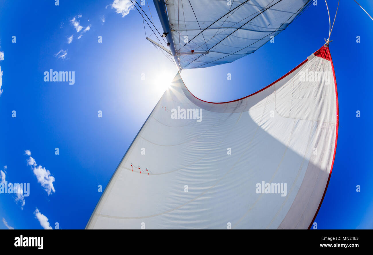 Immagine fisheye di vele contro il cielo blu e il sole Foto Stock
