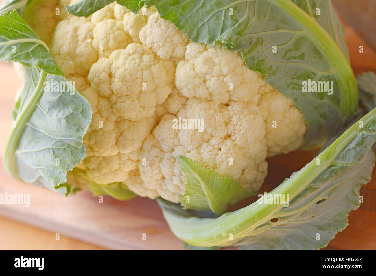 Primo piano di prodotti freschi dal mercato degli agricoltori Foto Stock