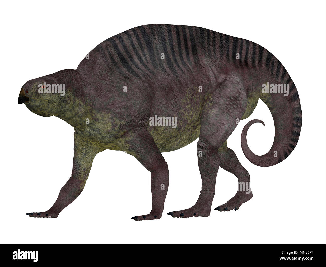 Dinosauro Lotosaurus profilo laterale - Lotosaurus adentis era un erbivoro poposauroid dinosauro che ha vissuto in Cina durante il periodo Triassico. Foto Stock