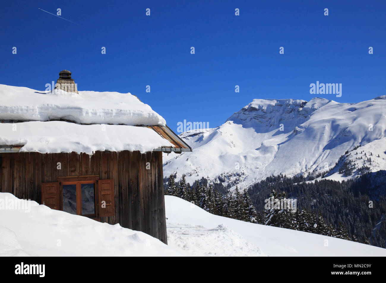 Avoriaz (Alta Savoia, sulle Alpi francesi, Francia orientale): paesaggio del Chablais regione con un chalet coperto di neve Foto Stock