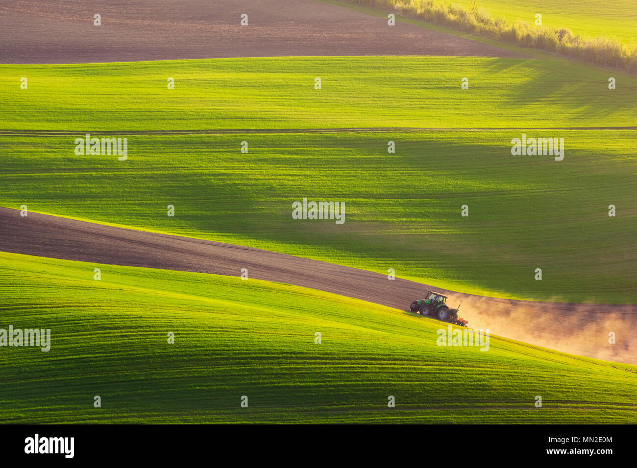 Aratri del trattore sul campo in primavera Foto Stock