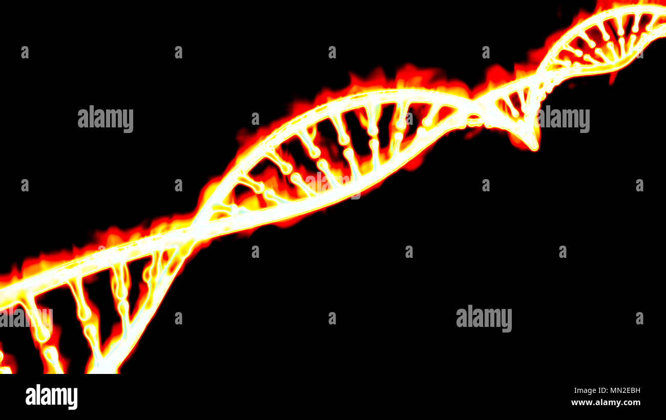 DNA, la masterizzazione di elica di DNA, acido deossiribonucleico è un acido nucleico che contiene le informazioni genetiche. Fuoco e fiamme. Foto Stock