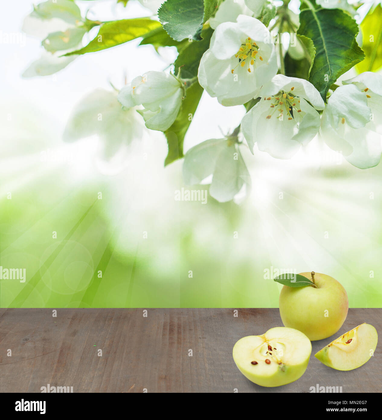 Grigio vuoto tavola di legno, Apple organica frutta, foglie verdi e fiori di primavera sulla messa a fuoco morbida dello sfondo Foto Stock