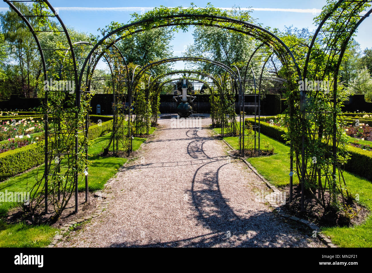 Britzer Garten, Neukölln, Berlino, Germania. 2018.formale Giardino di Rose in primavera con fontana, rose su archi e Potatura siepi, arbusti e tulipani Foto Stock