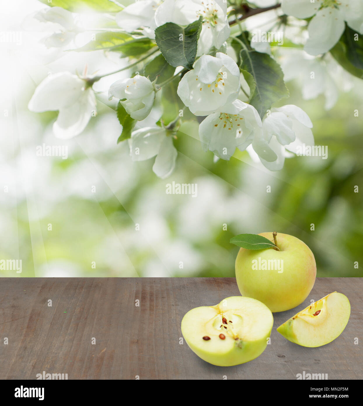 Messa a fuoco morbida dello sfondo con frutti di Apple, il verde delle foglie e fiori di primavera e grigio di legno vuota Foto Stock