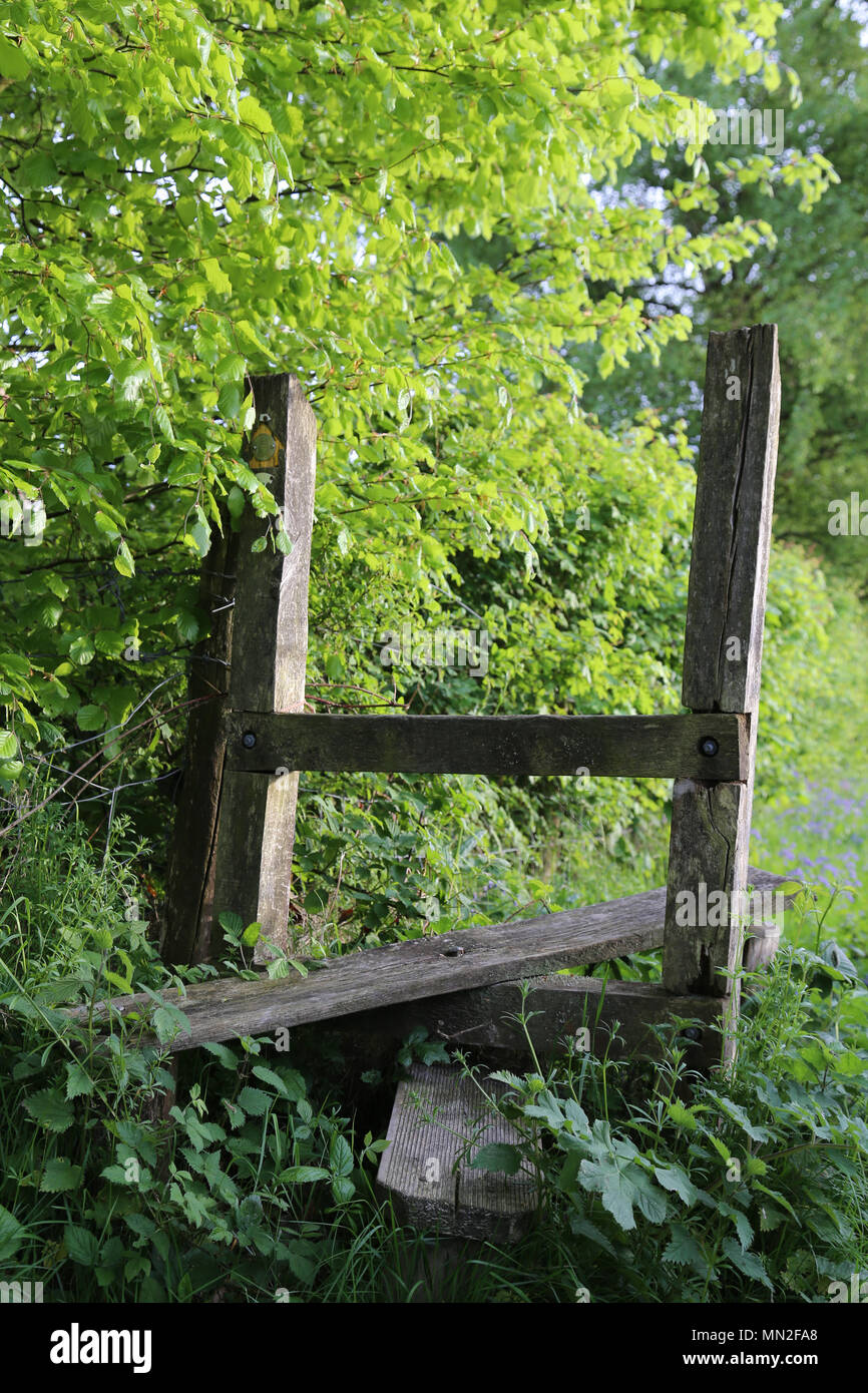 Vecchio ricoperta di stile in legno o gate Foto Stock