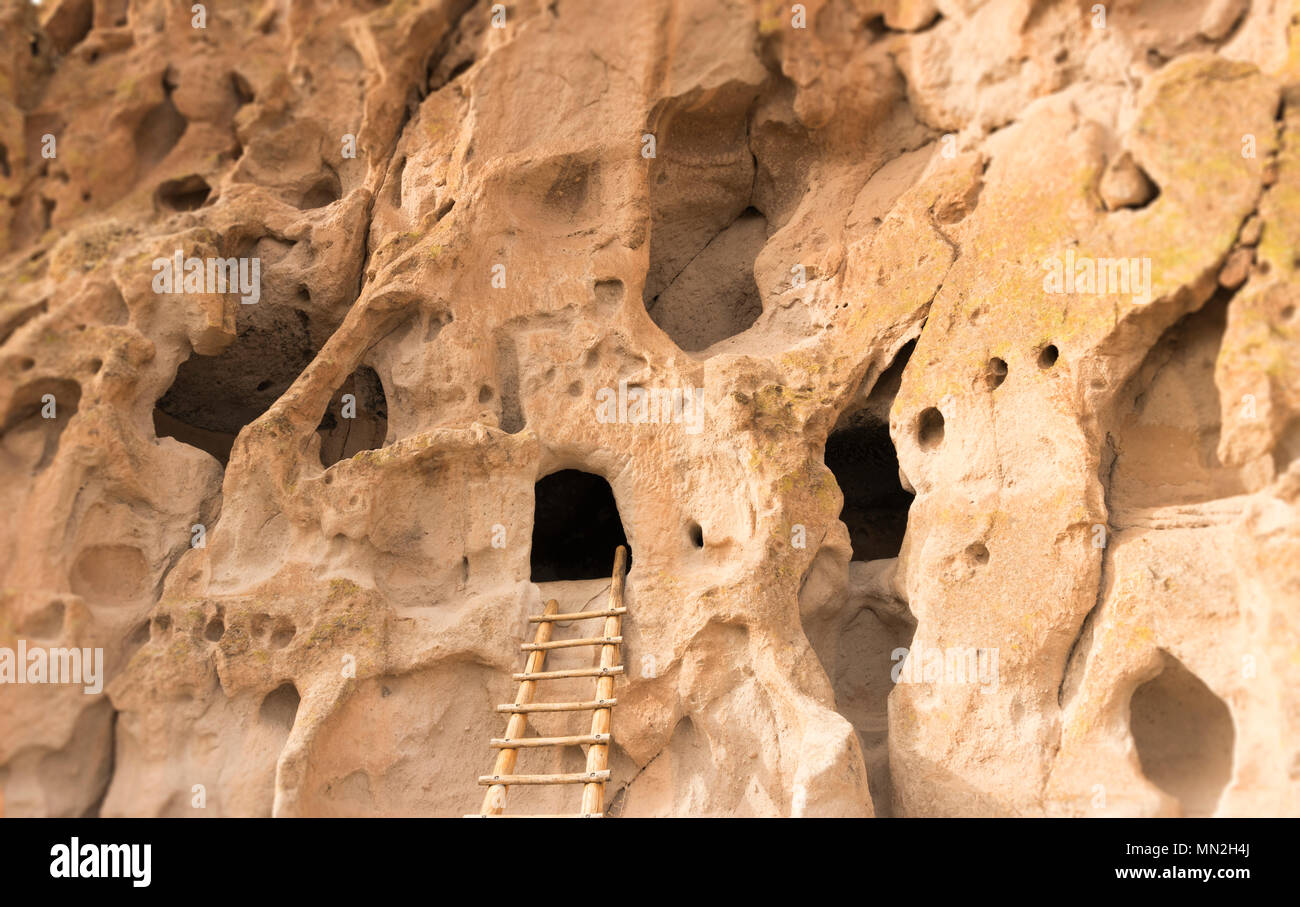 Native American cliff abitazione grotte con la scala di accesso al Bandelier National Monument, Nuovo Messico, Stati Uniti d'America. Foto Stock Native American cliff abitazione grotte con la scala di accesso al Bandelier National Monument, Nuovo Messico, Stati Uniti d'America. Foto Stock