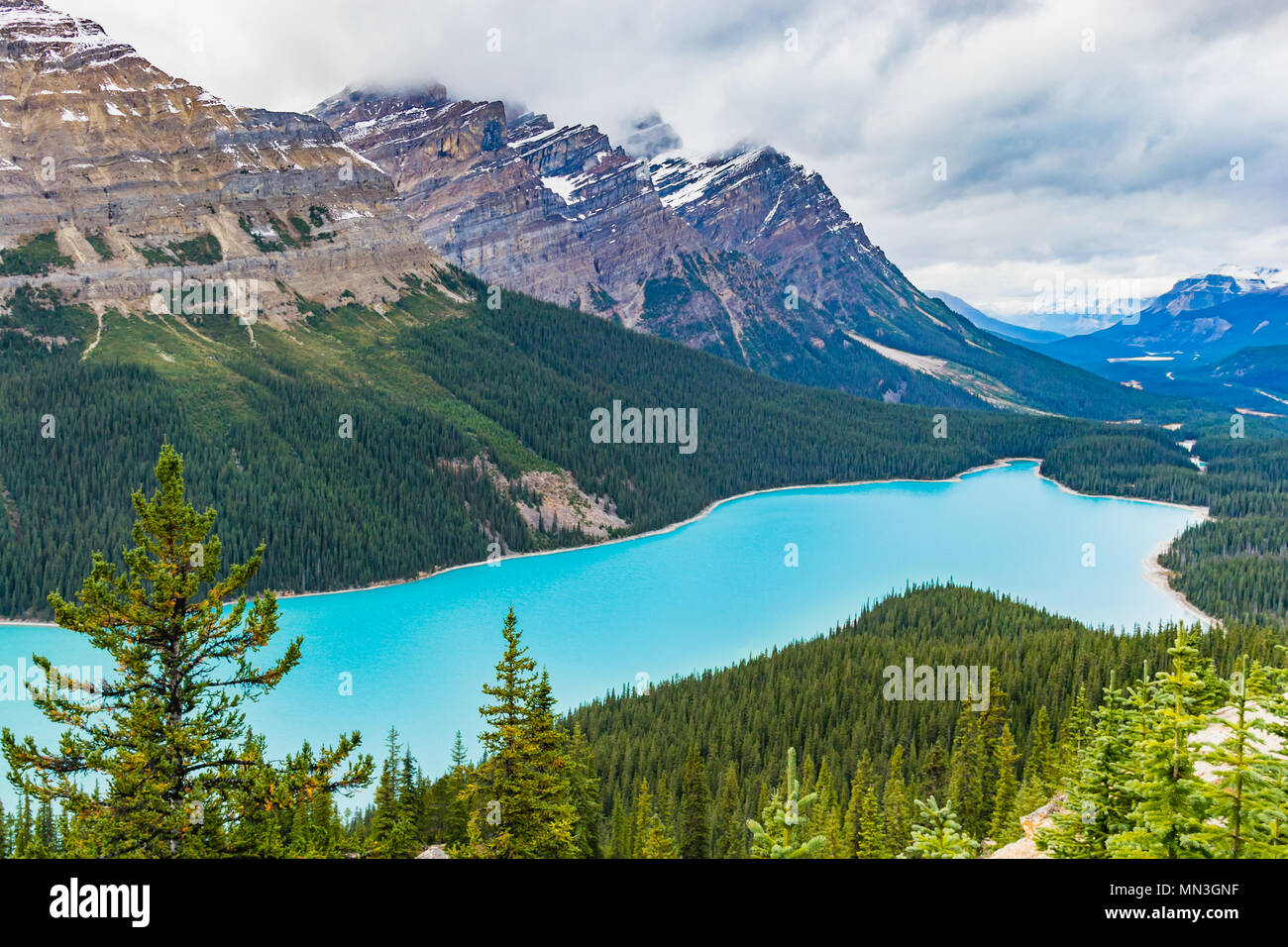 Il Lago Peyto del Parco Nazionale di Banff in Canada Foto Stock