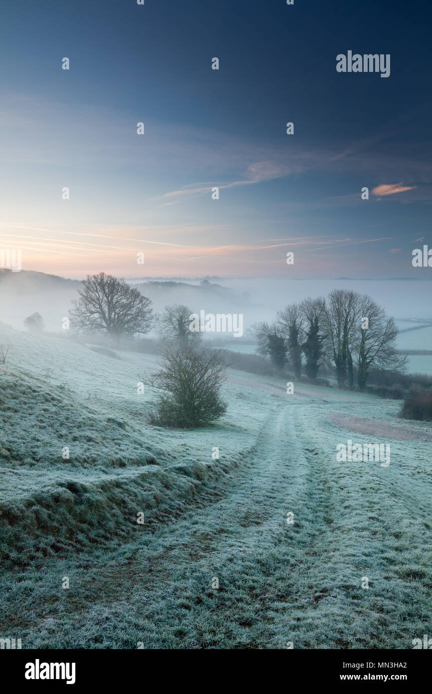 Un freddo gelido e nebbioso alba sulla collina Vartenham, Milborne Port, Somerset, Inghilterra, Regno Unito Foto Stock