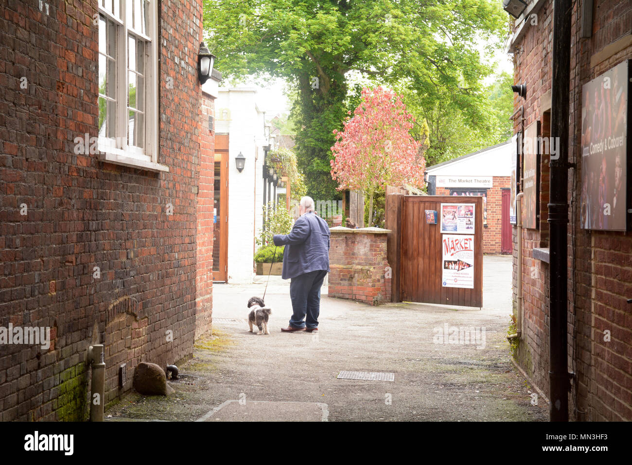 Uomo che cammina bhis cane al guinzaglio che sembra essere divenuta perse in un vicolo a Hitchin, Hertfordshire, Inghilterra Foto Stock
