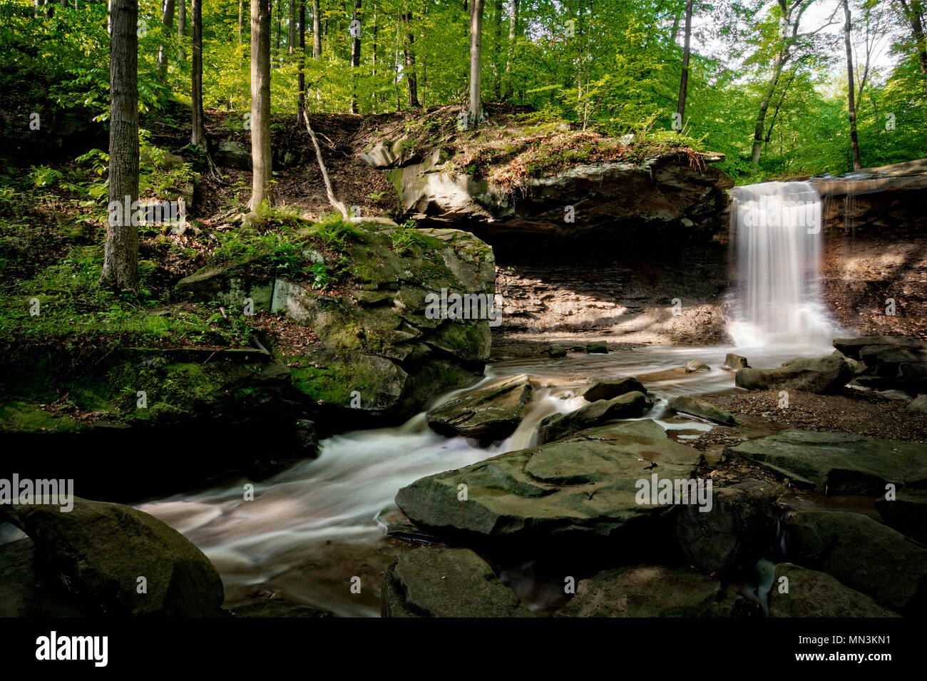 Gallina blu scende in Cuyahoga Valley National Park in Ohio. Una splendida quindici piedi cascata visto qui in tarda primavera. Foto Stock