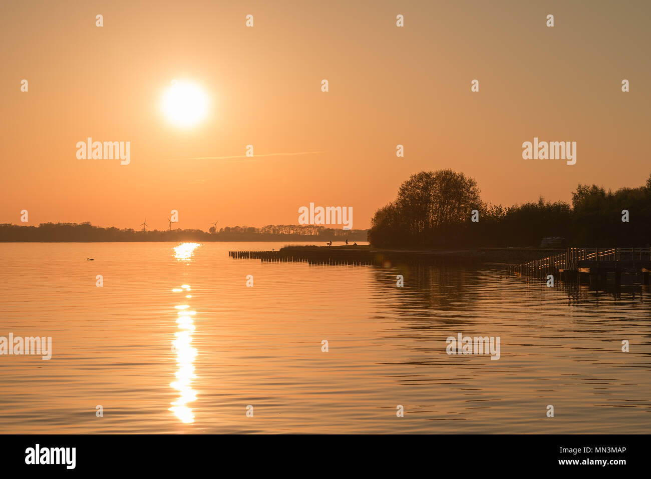 Vista dal villaggio Altefähr lungo il litorale di Rügen, Mar Baltico, Meclemburgo-Pomerania Occidentale, Germania, Europa Foto Stock