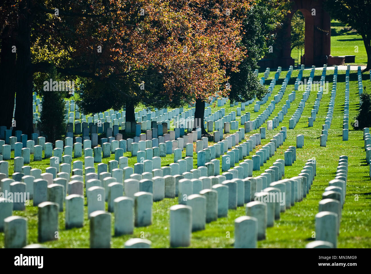 Righe Della Tomba Di Pietra In Marcatori Al Cimitero Nazionale Di Arlington A Washington Dc Foto Stock Alamy