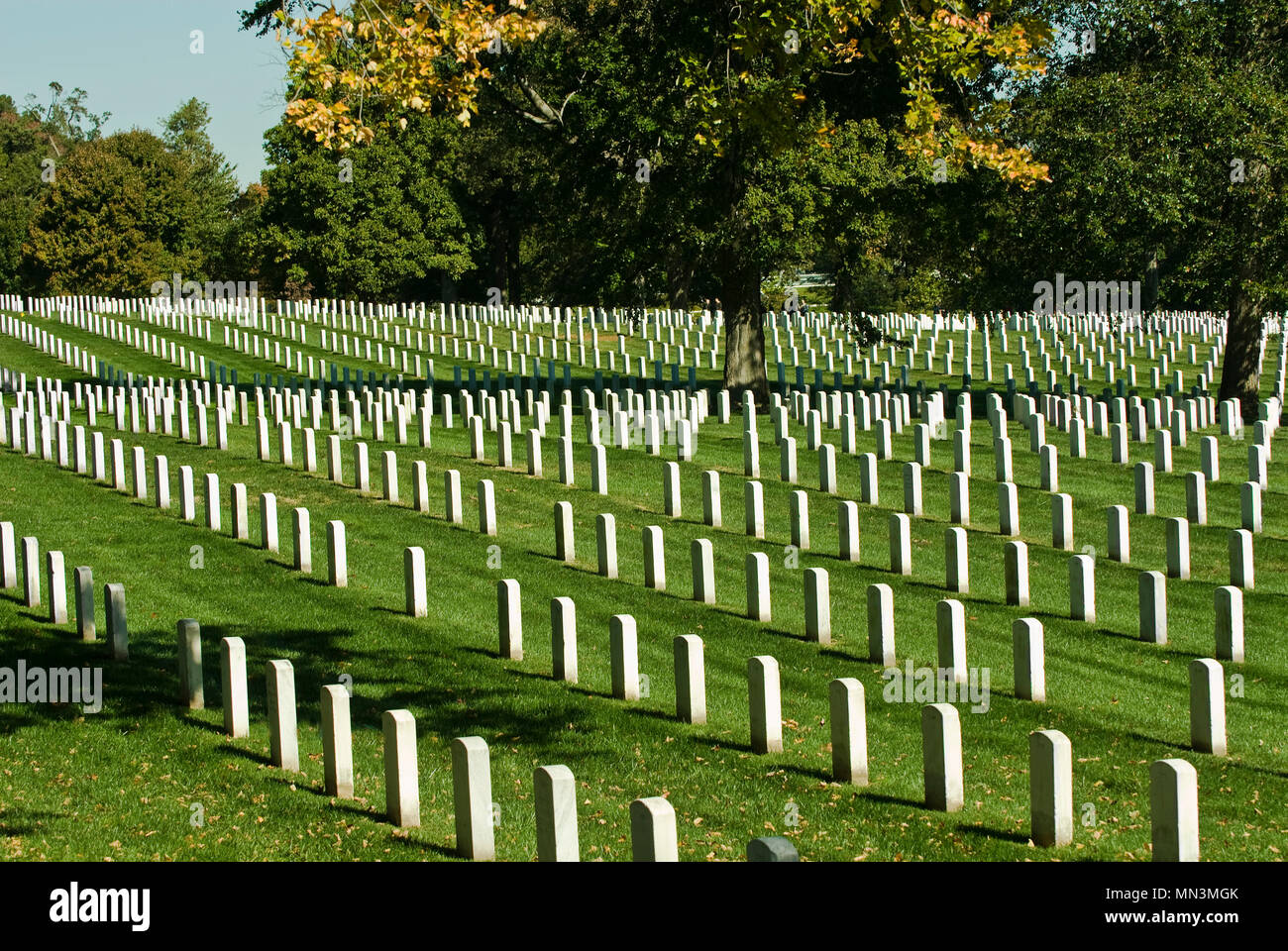 Righe Della Tomba Di Pietra In Marcatori Al Cimitero Nazionale Di Arlington A Washington Dc Foto Stock Alamy