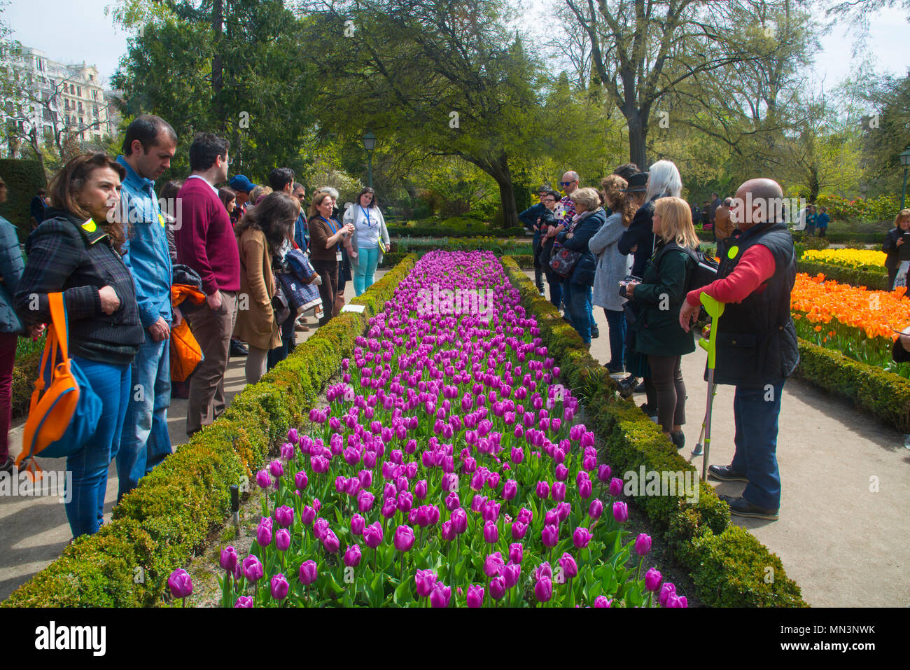 Le persone che visitano il tulip fiori del giardino. Giardino Botanico, Madrid, Spagna. Foto Stock