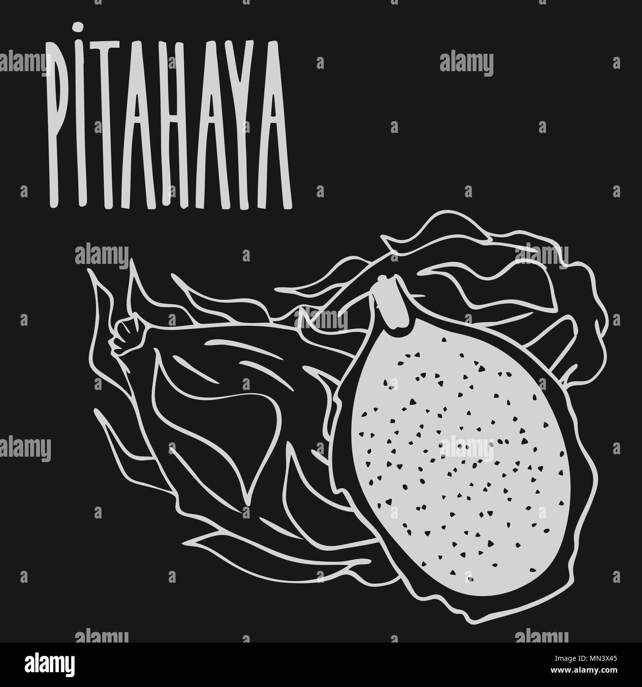 Isolare la pitaya mature o pitahaya come il gesso sulla lavagna Illustrazione Vettoriale