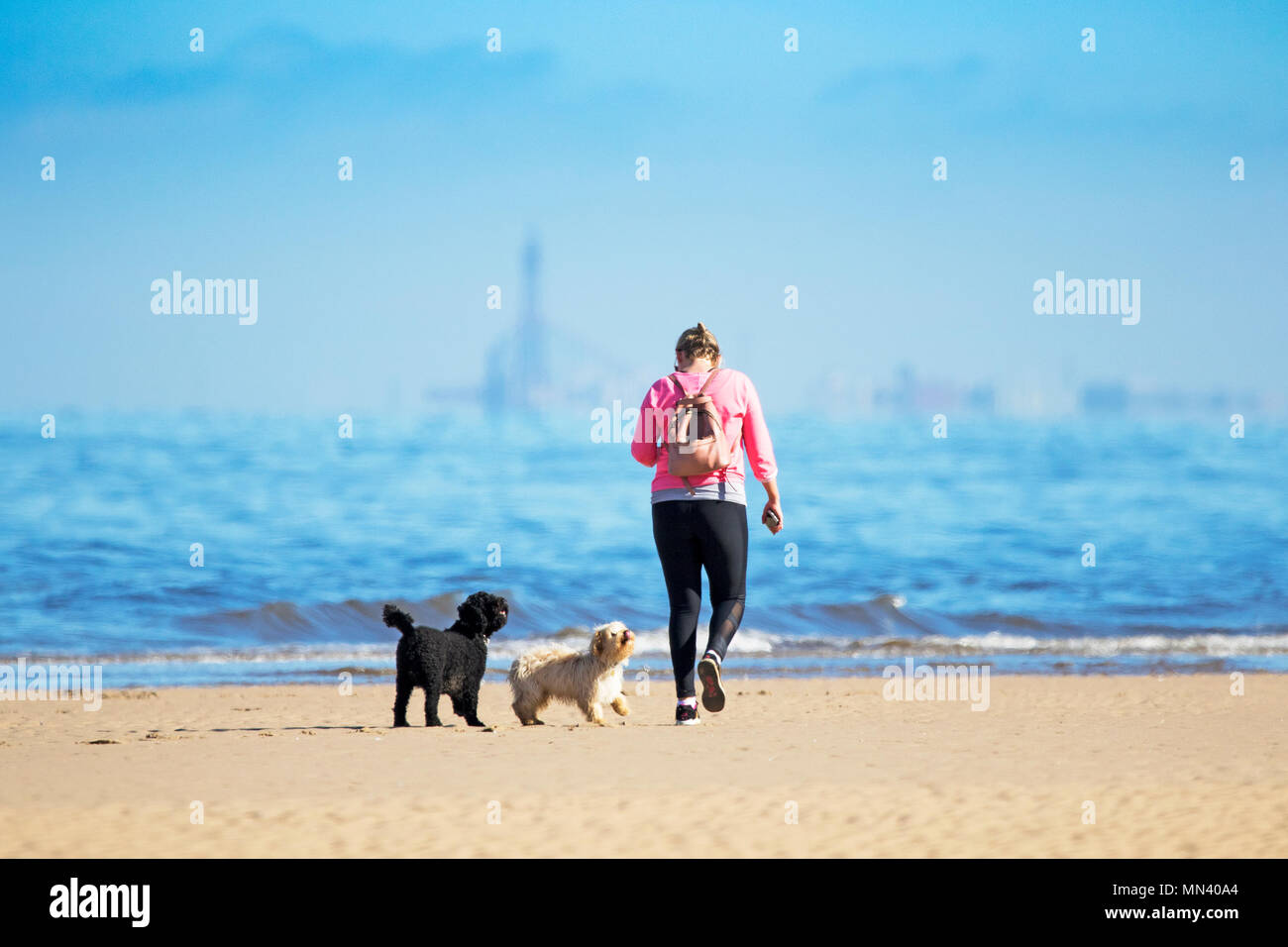 Il sole a Southport, Merseyside. 14 maggio 2018. Regno Unito Meteo. Uno splendido stile mediterraneo previsioni sulla costa nord ovest dell'Inghilterra con temperature calde, il cielo limpido e spiagge di sabbia dorata e come una donna cammina i suoi due cani lungo il litorale della marea sulla spiaggia di Southport nel Merseyside. Credito: Cernan Elias/Alamy Live News Foto Stock