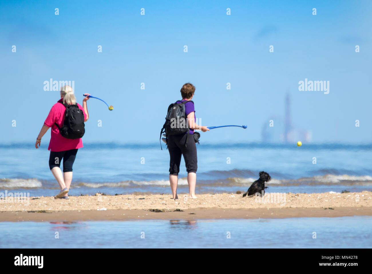 Il sole a Southport, Merseyside. 14 maggio 2018. Regno Unito Meteo. Uno splendido stile mediterraneo previsioni sulla costa nord ovest dell'Inghilterra con temperature calde, il cielo limpido e spiagge di sabbia dorata e come una donna getta i suoi cani sfera preferito lungo il litorale della marea sulla spiaggia di Southport nel Merseyside. Credito: Cernan Elias/Alamy Live News Foto Stock