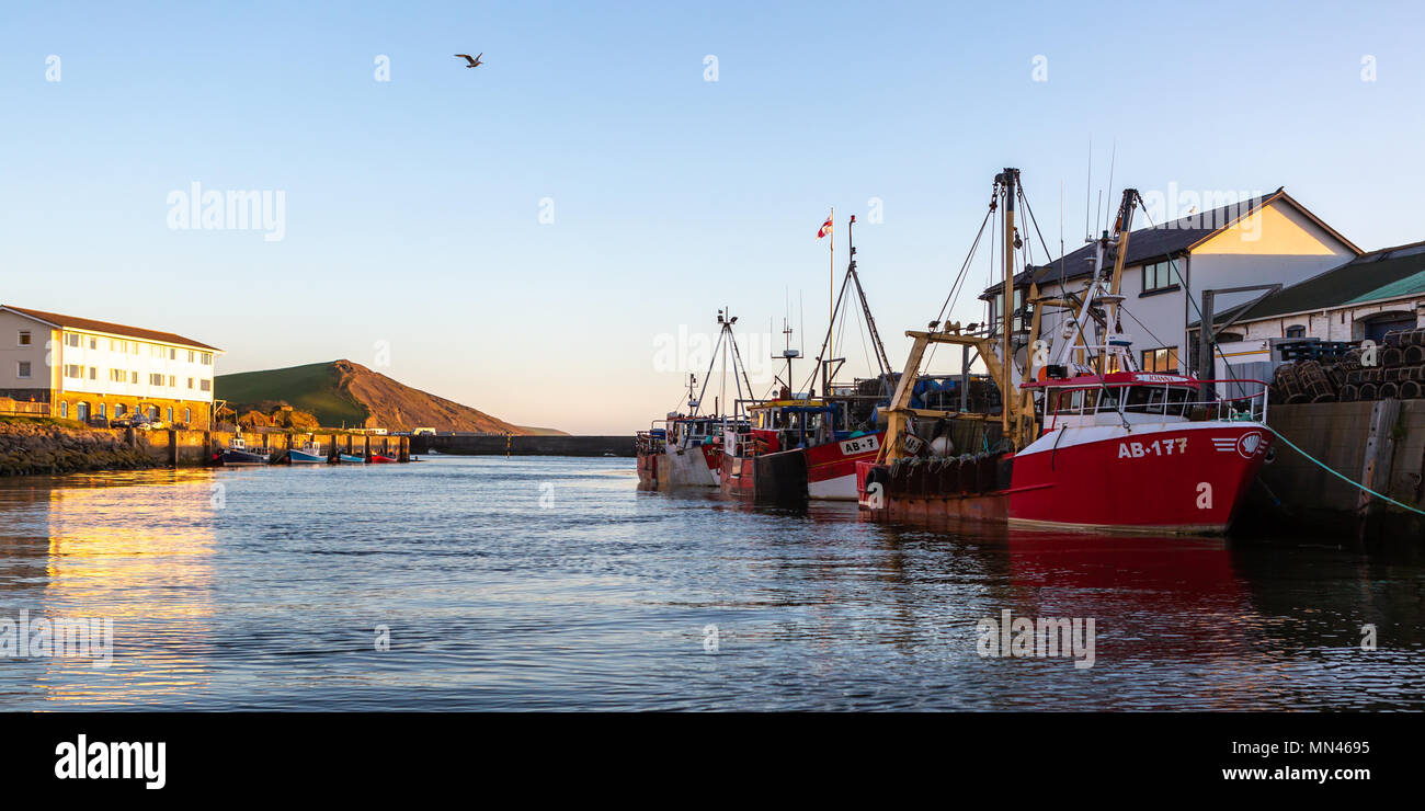 Aberystwyth, Ceredigion, Wales, Regno Unito 13 maggio 2018 UK Meteo: Riflessioni nel porto come Aberystwyth gode di un cielo azzurro e sole questa sera. © Ian Jones/Alamy Live News. Foto Stock