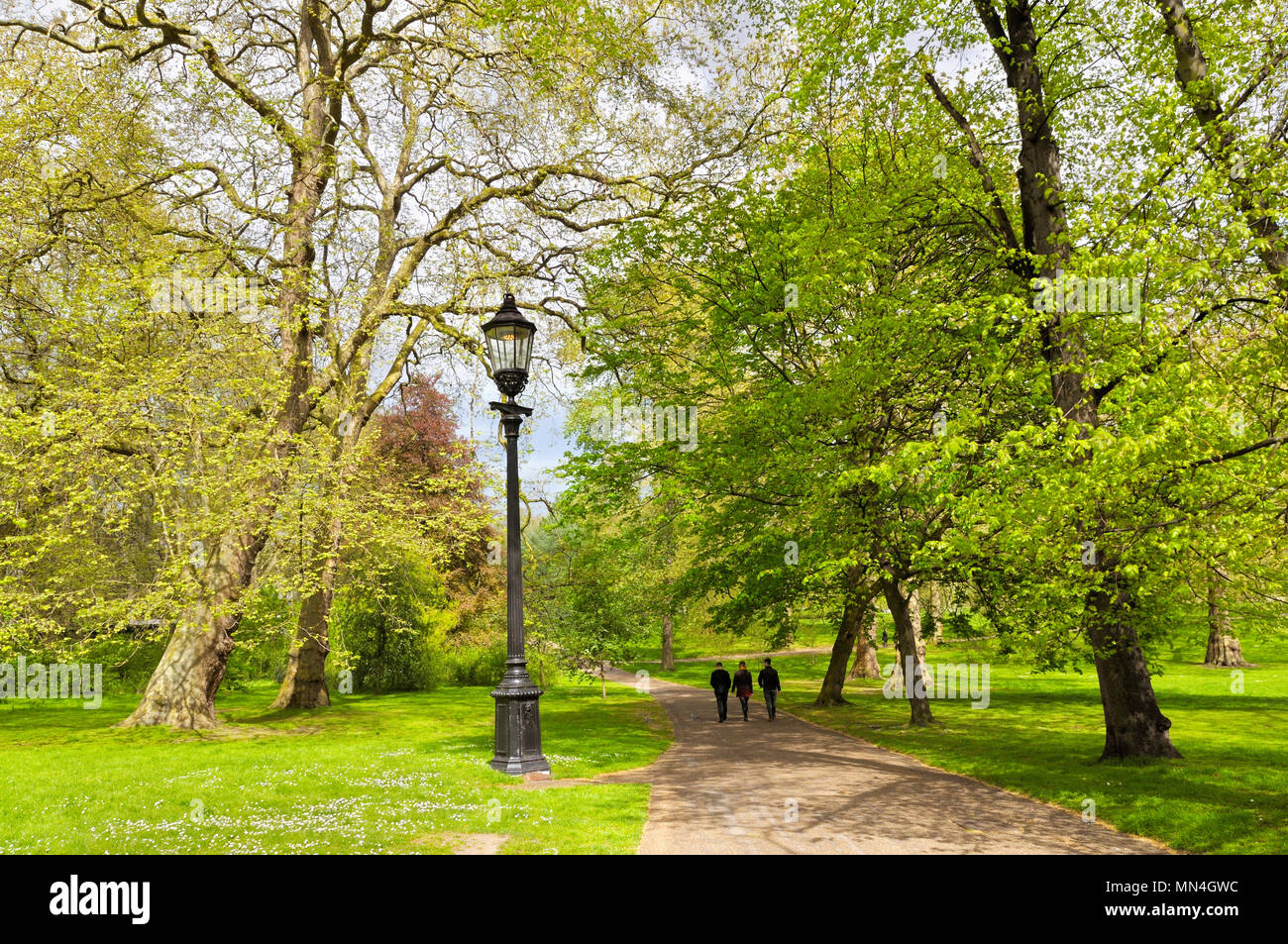 Green Park, Londra, Inghilterra, Regno Unito Foto Stock
