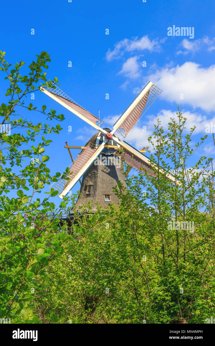 Mulino a vento olandese a Kralingse Bos a Rotterdam, Paesi Bassi Foto Stock
