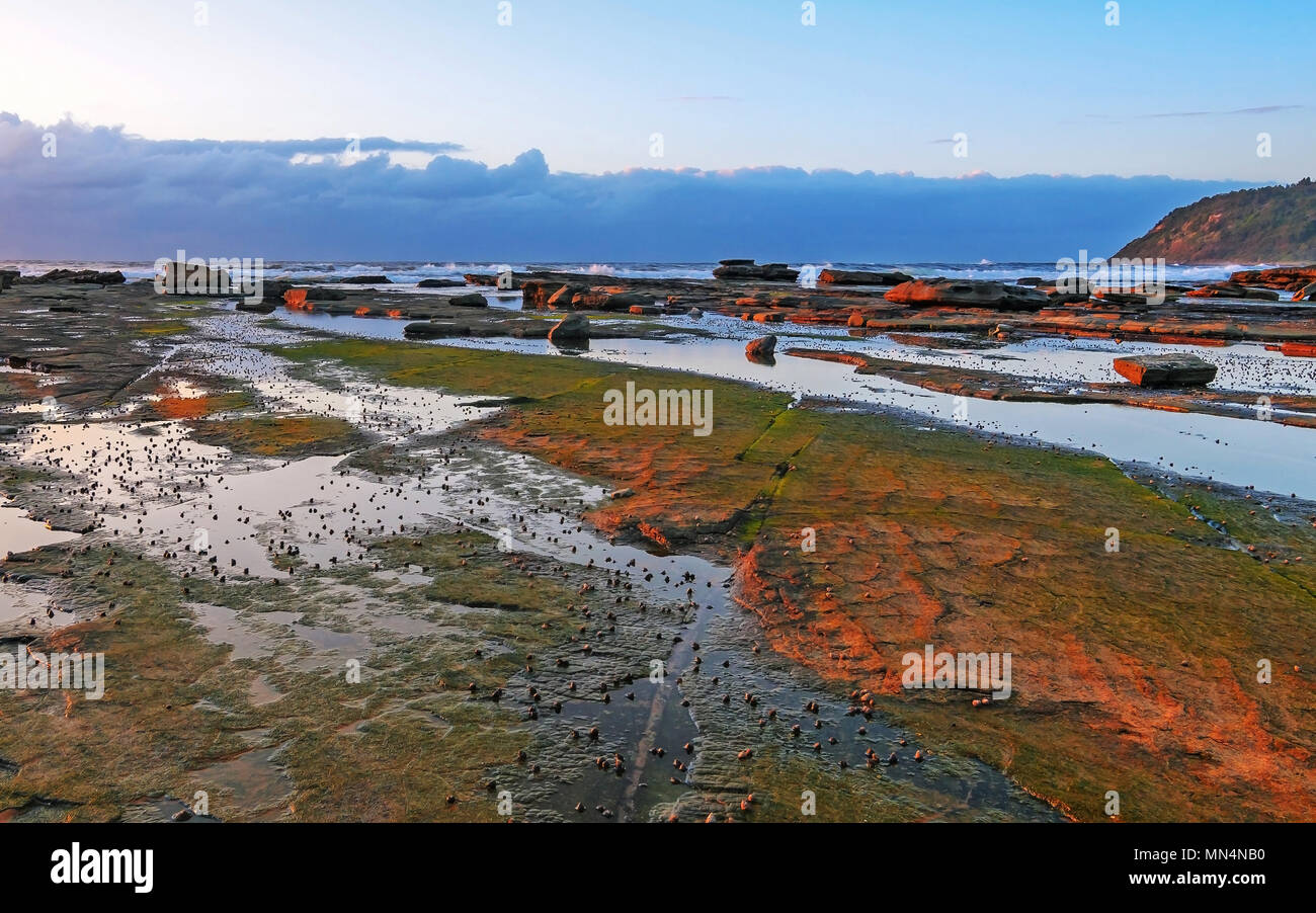 Prese a Bateau Bay, Central Coast, NSW, Australia Foto Stock