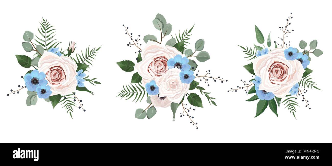 Designer di vettore di elementi di raccolta del Verde Eucalipto, arte fogliame foglie naturali erbe in stile acquarello. Bellezza decorativa elegante illustrat Illustrazione Vettoriale