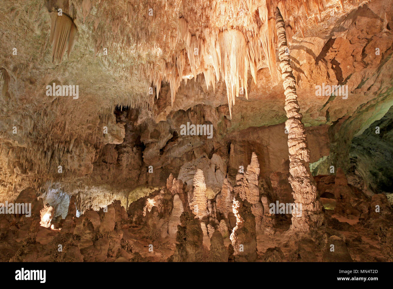 Stalattiti e stalagmiti nel Parco nazionale di Carlsbad Cavern, STATI UNITI D'AMERICA Foto Stock