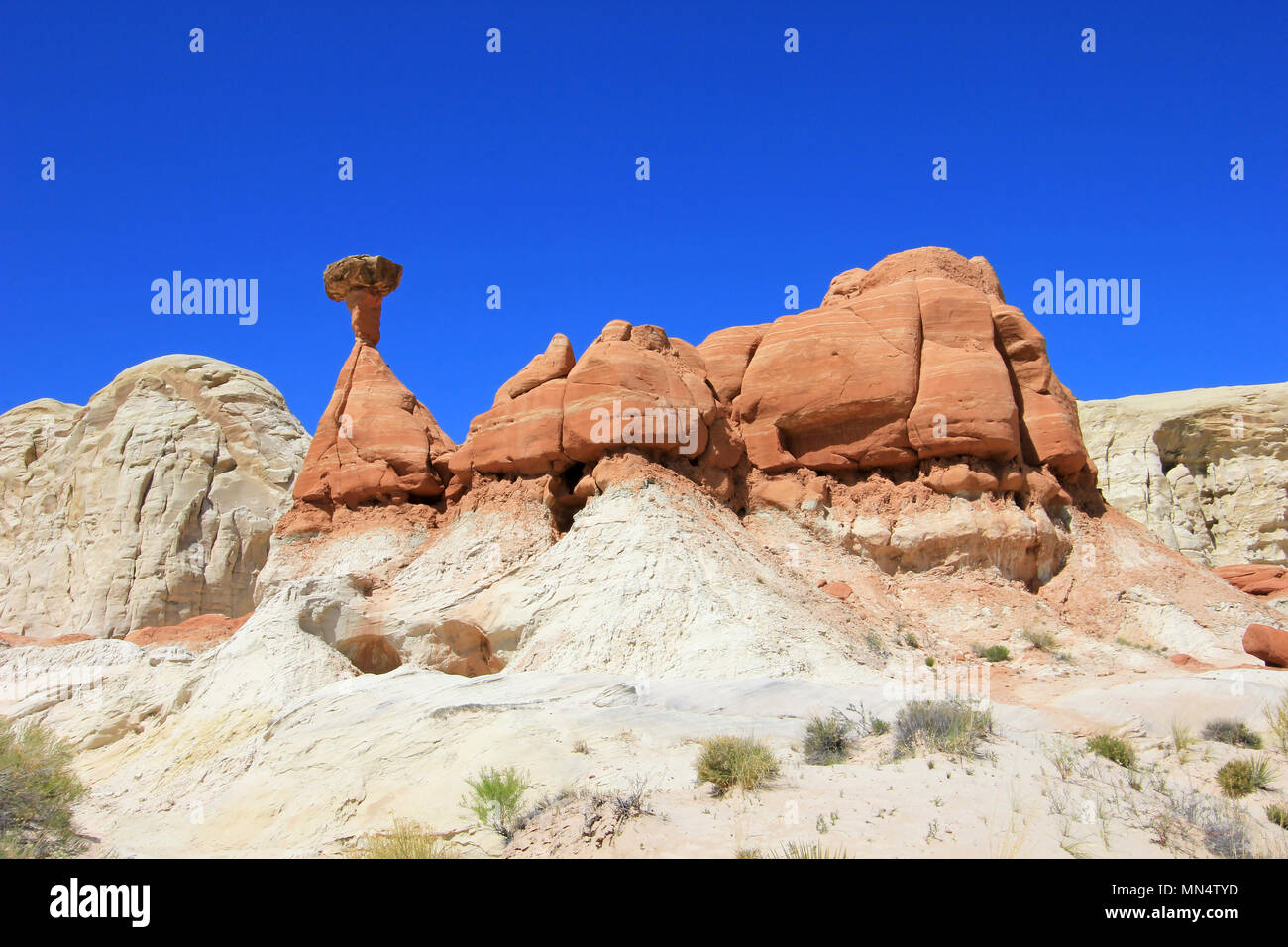 Toadstool Hoodoos, Paria Rimrocks in Grand Staircase-Escalante monumento nazionale, Utah Foto Stock