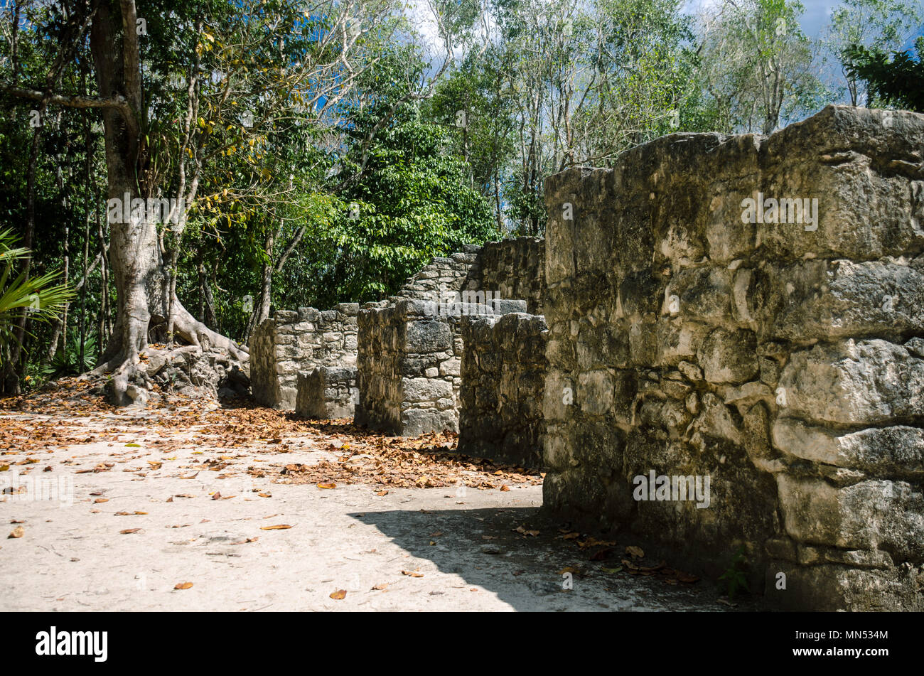 Strutture antiche degli antichi Maya in Coba, Messico Foto Stock