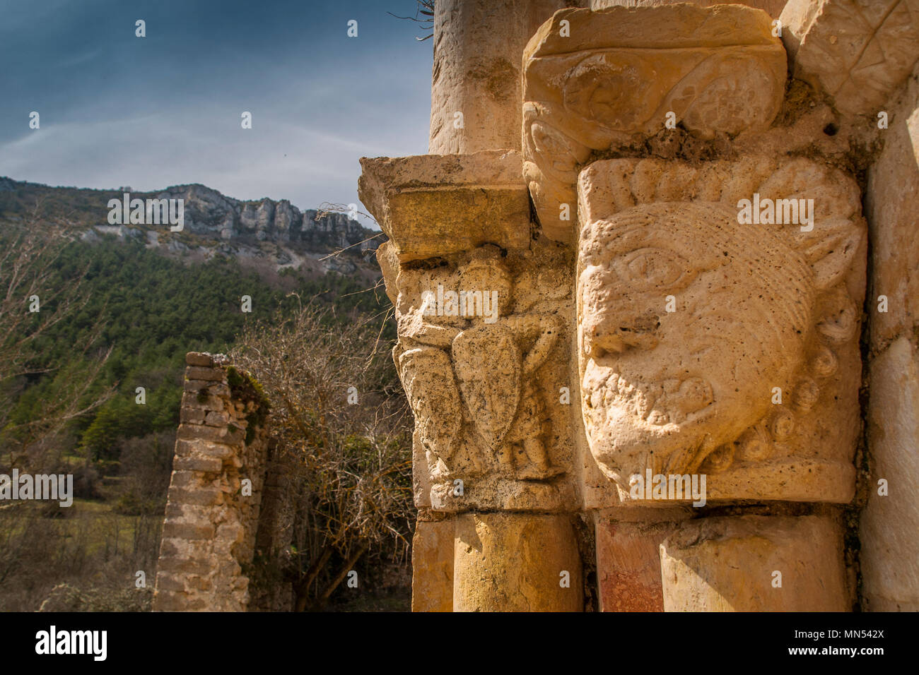 Capitelli romanici e intagli nella vecchia chiesa abbandonata di Ribera, Parke Natural de Valderejo, Alava, Paesi Baschi, Spagna. Foto Stock