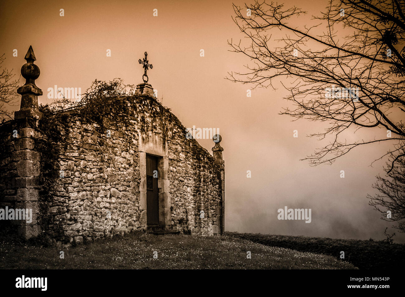 Chiesa collegiata di Zenarruza, a nord della strada di Santiago, Biscaglia, Paesi Baschi, Spagna. Foto Stock